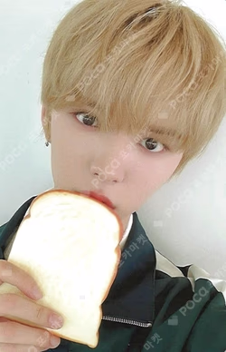 ONE QUESTION DEAR MY MUSE