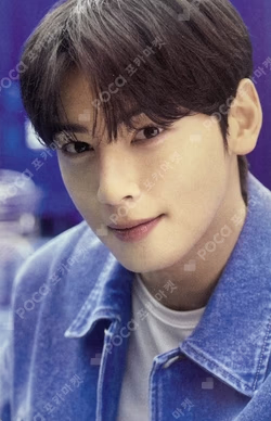 SOL 모임통장 X 차은우 ChaEunwoo photocard image