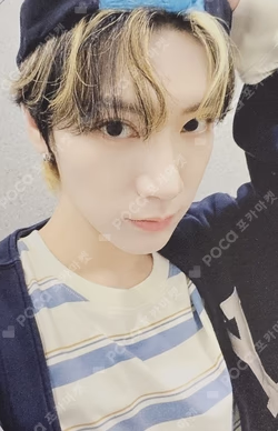 2025 SEASON'S GREETINGS PHOTO PACK