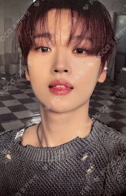 The Feelings Manic ver.