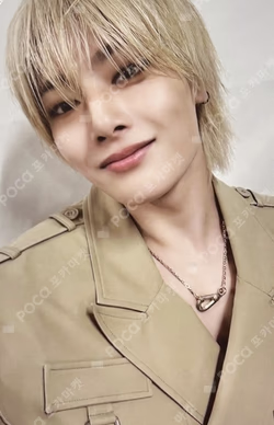 Stray Kids I.N photocard image