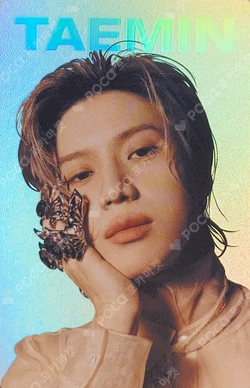 Advice HOLOGRAM PHOTO CARD SET