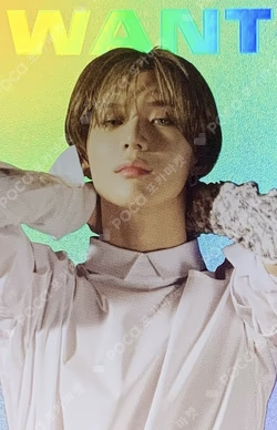WANT HOLOGRAM PHOTO CARD SET TAEMIN photocard image