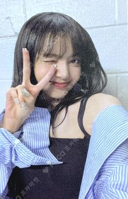 BORN PINK KMS LUCKY DRAW LISA photocard image
