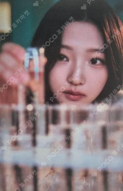 The Chase YPBOOKS Stella photocard image