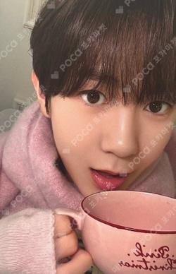 2024 PINK CHRISTMAS CUP & SAUCER SET RYO photocard image
