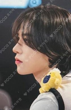 TREASURE COLLECTION REWARD