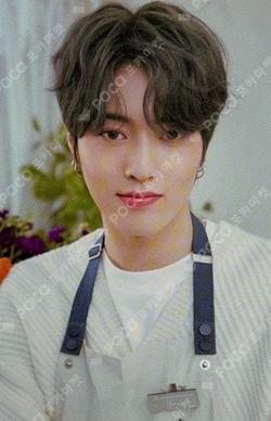 BLOOMING TREASURE DISK PHOTO BINDER HARUTO photocard image