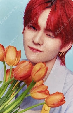 BLOOMING TREASURE PHOTO CARD + TOP LOADER KIT