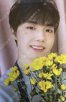 BLOOMING TREASURE WEVERSE