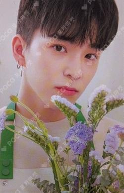 BLOOMING TREASURE DISK PHOTO BINDER