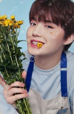 BLOOMING TREASURE PHOTO CARD + TOP LOADER KIT