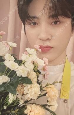 BLOOMING TREASURE WEVERSE