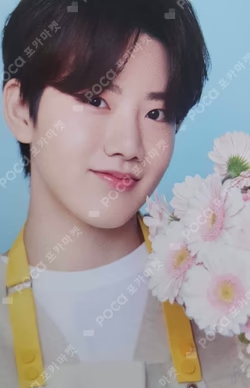 BLOOMING TREASURE PHOTO CARD + TOP LOADER KIT