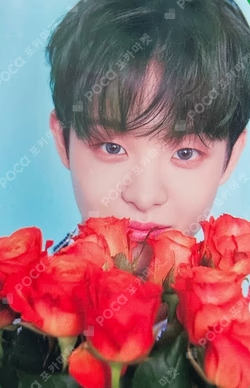 BLOOMING TREASURE PHOTO CARD + TOP LOADER KIT
