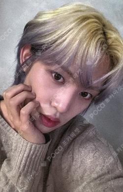 NEW CHAPTER : LUCEAT EVERLINE DOHA photocard image