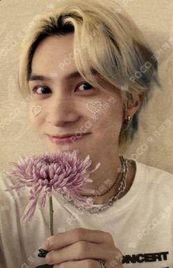 2024 WayV CONCERT [ON THE Way] IN JAPAN 2Blu-ray HENDERY photocard image