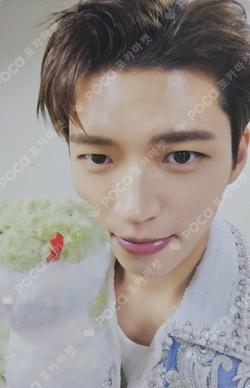 LIKE INFINITE ALADIN