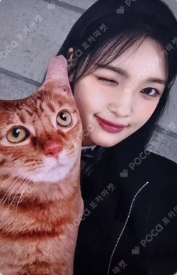 The Chase SOUND WAVE LUCKY DRAW