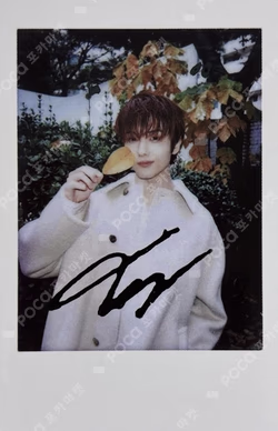 CHIC JISUNG photocard image