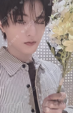 TREASURE POP-UP : My PLEASURE from TREASURE ALBUM PURCHASE BENEFITS