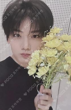 TREASURE POP-UP : My PLEASURE from TREASURE ALBUM PURCHASE BENEFITS JUNKYU photocard image