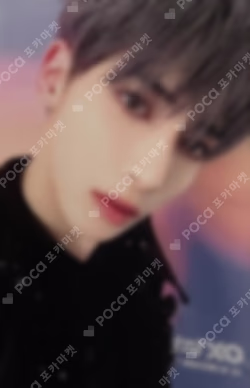 Chaotic Wonderland Limited Edition A