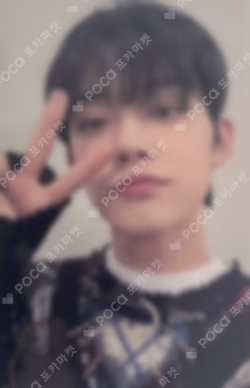 The Name Chapter: FREEFALL WEVERSE JAPAN LUCKY DRAW