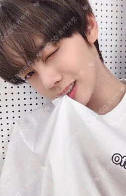 BLUE PARADISE APPLEMUSIC