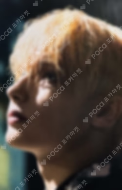The Name Chapter: FREEFALL MUSIC KOREA