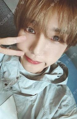2025 SEASON'S GREETINGS RANDOM TRADING CARD [B ver.] YESUNG photocard image