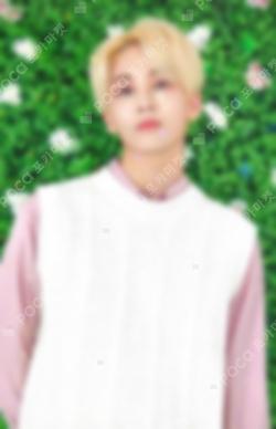 SEVENTEEN 2019 JAPAN TOUR 'HARU' TRADING CARD JEONGHAN photocard image