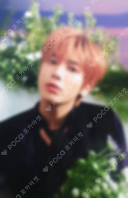 TOMORROW X TOGETHER WORLD TOUR ACT : SWEET MIRAGE Mini Photo Card