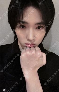 Butterfly FANPLEE Chael photocard image