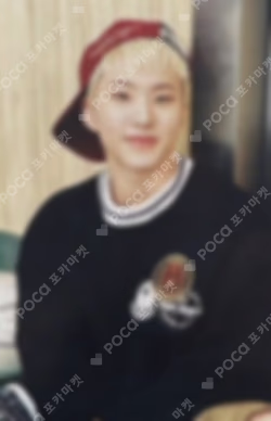 2025 SVT 9TH FAN MEETING SEVENTEEN in CARAT LAND Trading Card Set