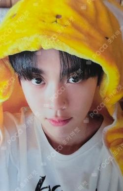 Everyday X-MAS Hellolive shop TAG photocard image