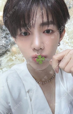 Pocamarket, ZEROBASEONE ZHANG HAO RE-FLOW K-pop Photocard