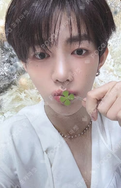 BLUE PARADISE StarRiver