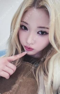 appendix: Of All We Have Lost DEAR MY MUSE HARAM photocard image