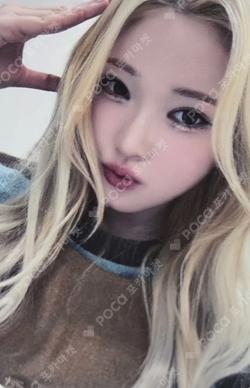 appendix: Of All We Have Lost DEAR MY MUSE HARAM photocard image