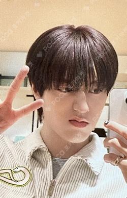 PLEASURE OLIVE YOUNG HARUTO photocard image