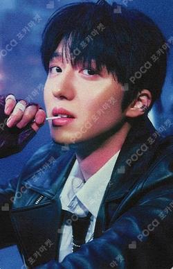 LOVE RACE POP-UP CAFE RANDOM TRADING PHOTO CARD CHA NI photocard image