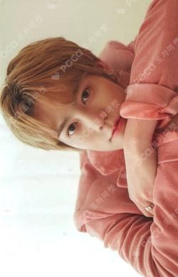 N.Flying FLY HIGH PROJECT NOTE 6. FLY HIGH TRADING CARD SET