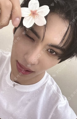 LOVE RACE FANPLEE YOO TAEYANG photocard image