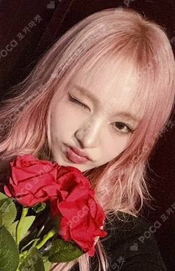 IVE EMPATHY APPLEMUSIC