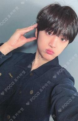 Butterfly Kpop Planet