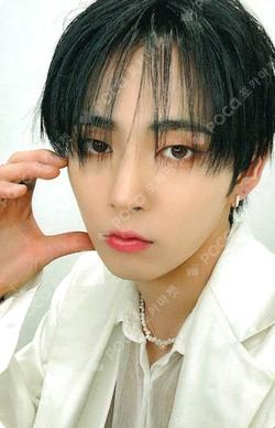 Butterfly SOUND WAVE