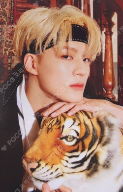 PHOTO POP-UP PHOTOCARD