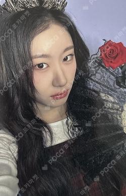 GOLD Counting Stars CHAERYEONG photocard image