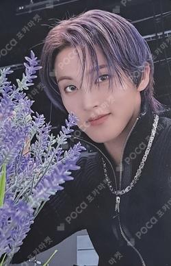 DREAMSCAPE KMS MARK photocard image